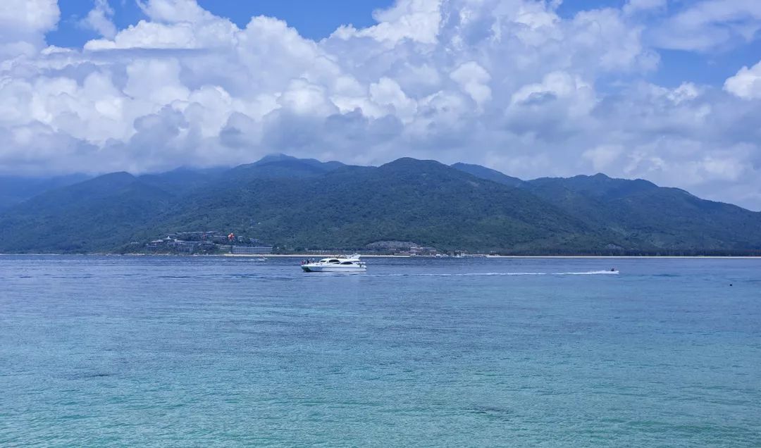 呆呆島游記_呆呆島游泳_呆呆島游玩攻略