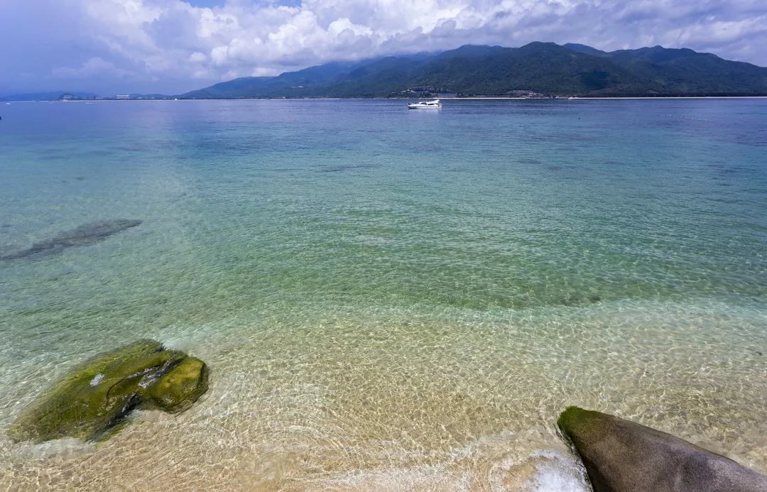 呆呆島游記_呆呆島游泳_呆呆島游玩攻略