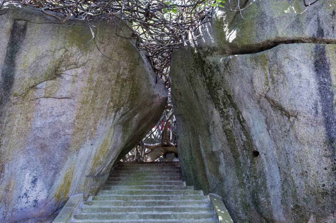 呆呆島游泳_呆呆島游玩攻略_呆呆島游記