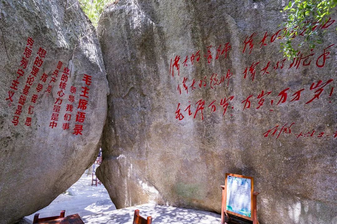 呆呆島游記_呆呆島游泳_呆呆島游玩攻略