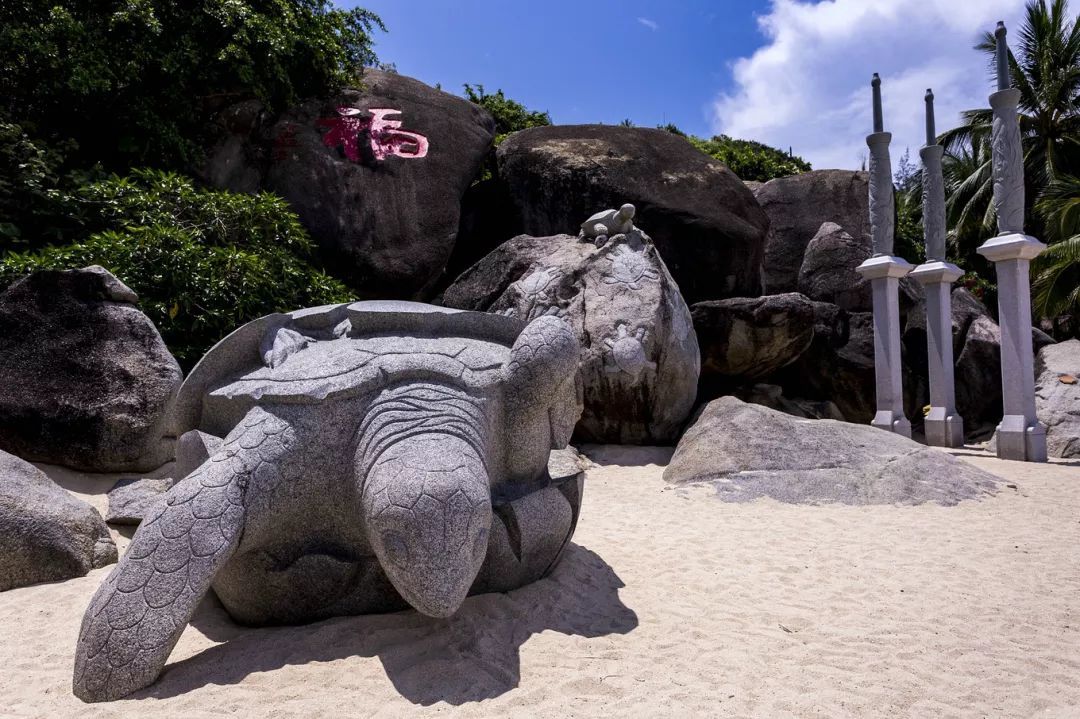 呆呆島游記_呆呆島游泳_呆呆島游玩攻略