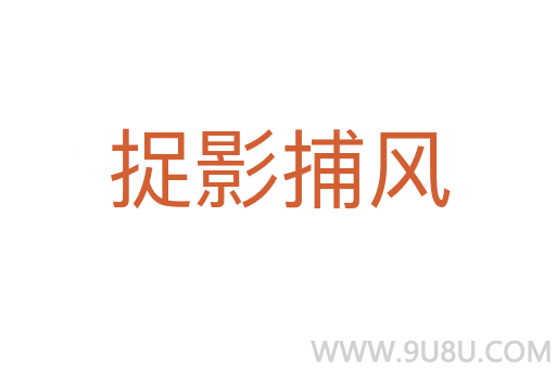 捉影捕風(fēng)