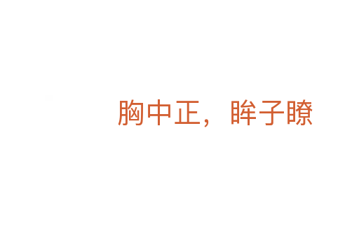胸中正，眸子瞭