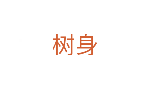 樹(shù)身