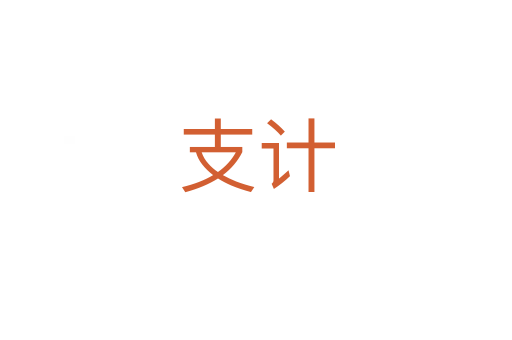 支計(jì)