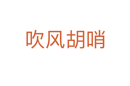 吹風胡哨