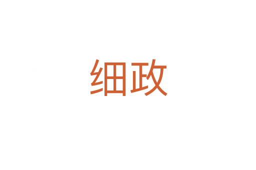 細(xì)政