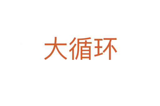 大循環