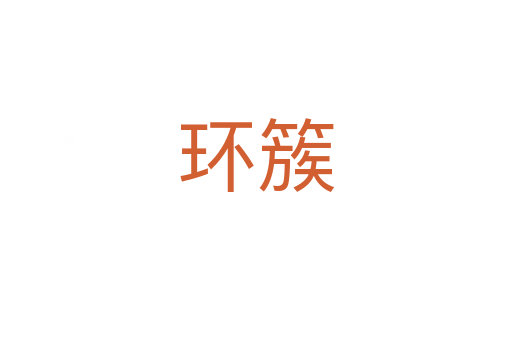 環簇