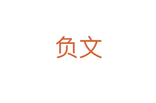 負(fù)文