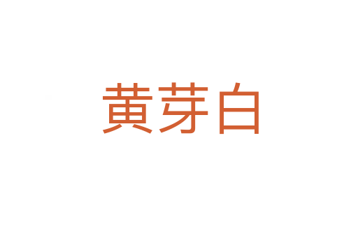 黃芽白